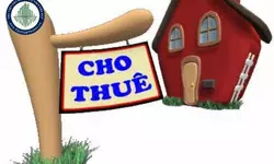 Bán nhà thổ cư, chính chủ diện tích 300m2 - Quốc lộ 1A Chợ Đón Hải Châu-anh-7
