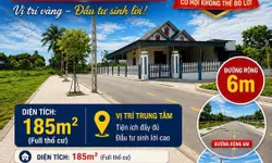 Bán nhà thổ cư, chính chủ diện tích 300m2 - Quốc lộ 1A Chợ Đón Hải Châu-anh-5