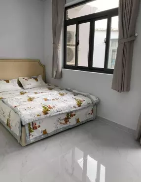 Nhà gần Chợ Vải Tân Bình, 5x10.5m hẻm sạch thoáng. 4.6 tỷ-anh-3