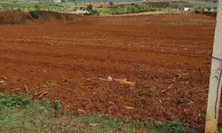BÁN NHÀ TRUNG TÂM ĐÀ LẠT – DIỆN TÍCH HƠN 200M² – CÓ SÂN ĐẬU Ô TÔ – PHÙ HỢP Ở, KINH DOANH HOẶC ĐẦU-anh-15