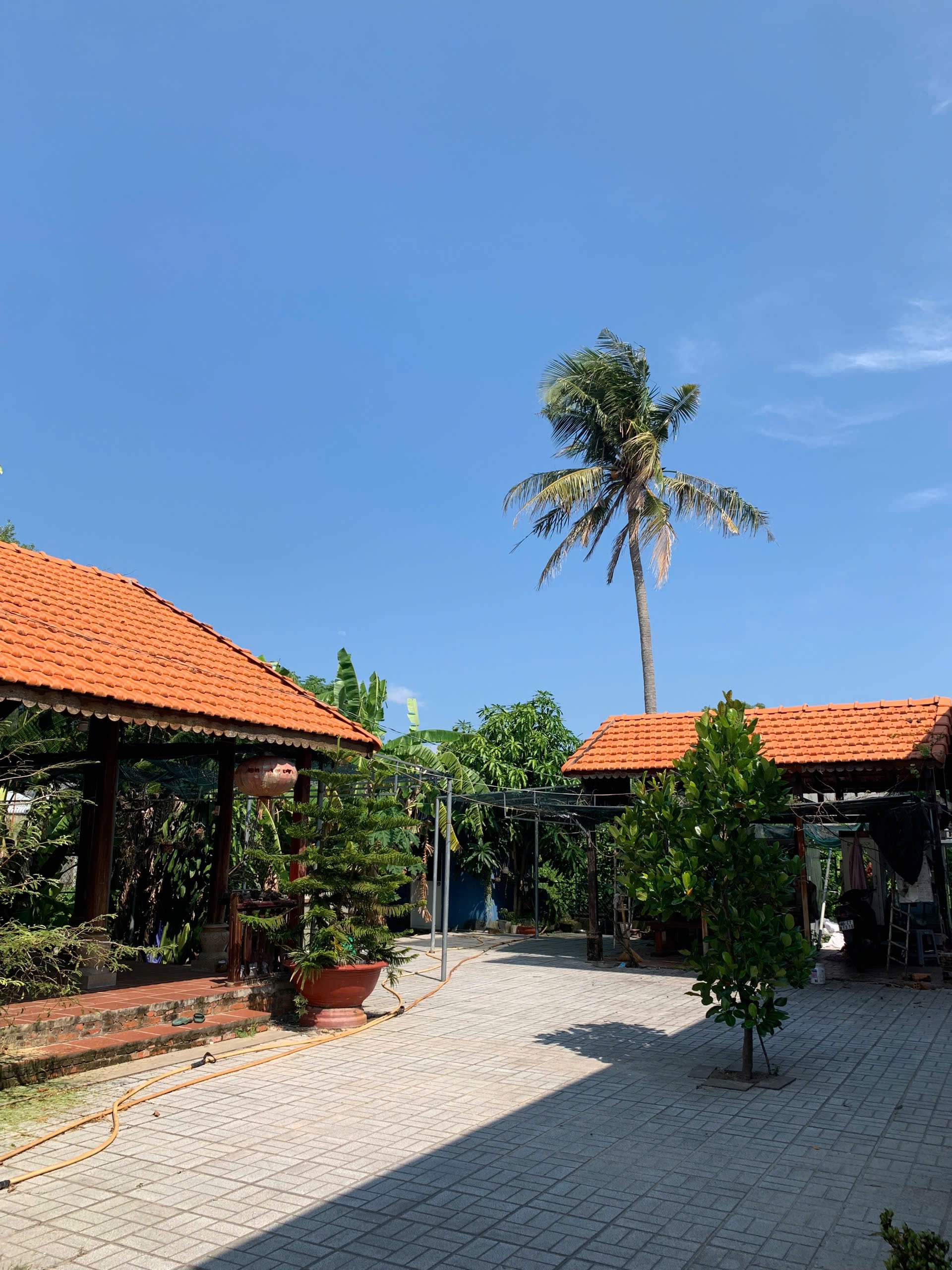 Bán nhà vườn tại la gi, bình thuận-anh-2