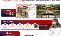 Bán đất dự án 5F Apollo, sổ hồng riêng, full thổ cư, giá 480 triệu-anh-9