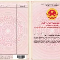 Chỉ cần 350tr – Sở hữu ngay 1 nền đất thổ cư trong trung tâm KCN lớn tại Đồng Nai-anh-7