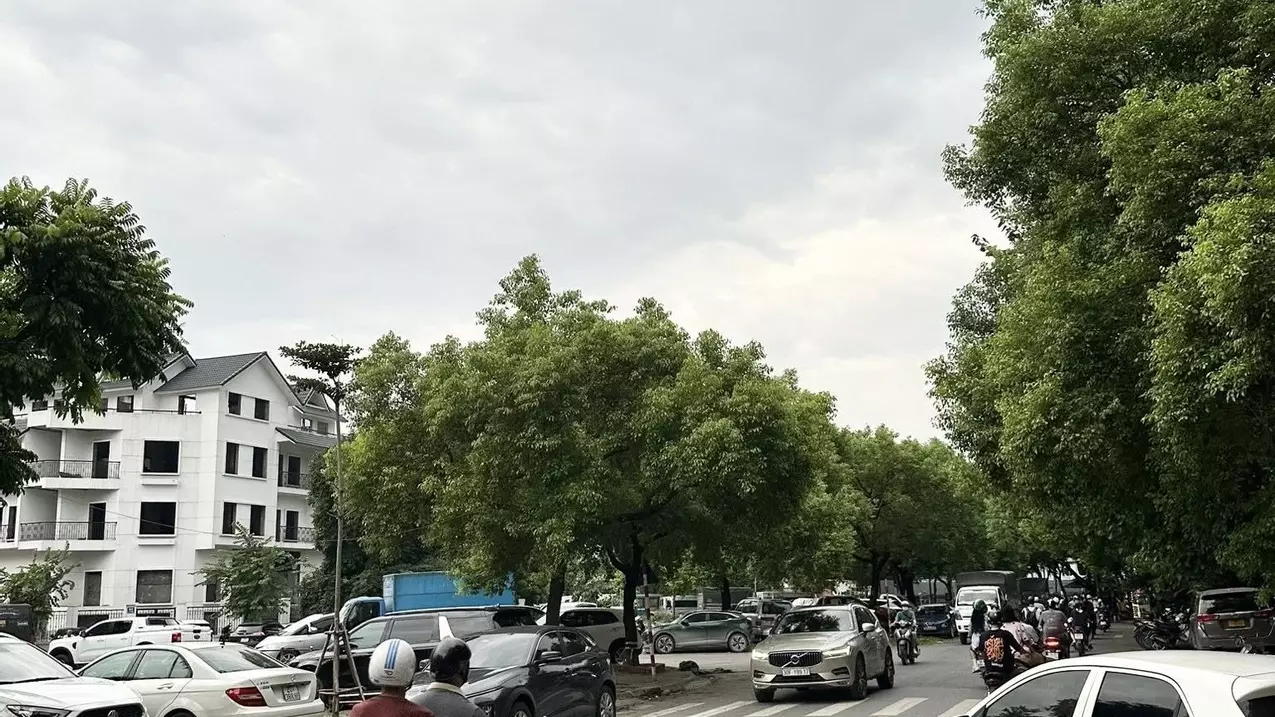 ???? BÁN RẺ NHÀ PHỐ TRUNG KÍNH - Ô TÔ - MT 11,5M - DIỆN TÍCH KHỦNG 250M2 - GIÁ ĐẦU TƯ 40 TỶ-anh-4