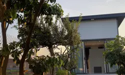 Chính chủ vỡ nợ bán gấp nhà cấp 4 mặt tiền Tỉnh 835 ngay KDC Gò Đen diện tích 103.5m2-anh-9