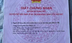 Chính chủ vỡ nợ bán gấp nhà cấp 4 mặt tiền Tỉnh 835 ngay KDC Gò Đen diện tích 103.5m2-anh-2