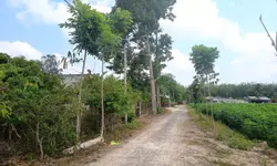 ĐẤT NỀN ĐẸP CẠNH KCN TT GÒ DẦU, TÂY NINH CHỈ 450TR-anh-5