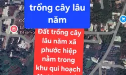 BIỆT THỰ SANG TRỌNG KẾ BÊN AEON MAIL TÂN PHÚ - 100M2 - 3 TẦNG ĐƯỜNG SỐ 11 GIÁ CHỈ 12.8 TỶ-anh-19