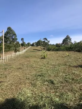 chính chủ bán đẩt ngộp giá rẻ, đất thổ cư sắn sổ, ngay khu dân cư hiện hữu-anh-2