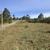chính chủ bán đẩt ngộp giá rẻ, đất thổ cư sắn sổ, ngay khu dân cư hiện hữu-anh-7