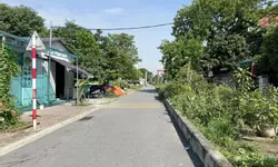 CẦN BÁN GẤP BIỆT THỰ LÔ GÓC MẶT PHỐ TRẦN THÁI TÔNG - DỊCH VỌNG HẬU - 250M2 - MT 15M - 125 TỶ-anh-14