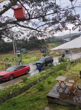 bán đất 200m2 có thổ cư giá rẻ bất ngờ-anh-2