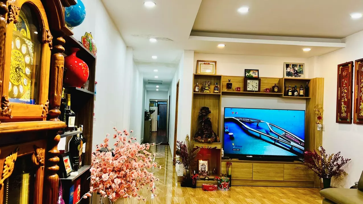 CẦN BÁN NHÀ 214M2 4X50 NHÀ CẤP 4 MT ĐƯỜNG HUỲNH BÁ CHÁNH-anh-2