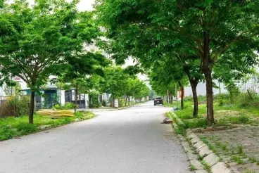 Chính chủ cần bán đất Liền Kề B1.1 nhìn chung cư Thanh hà Cienco 5-anh-2