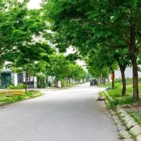 Chính chủ cần bán đất Liền Kề B1.1 nhìn chung cư Thanh hà Cienco 5-anh-8
