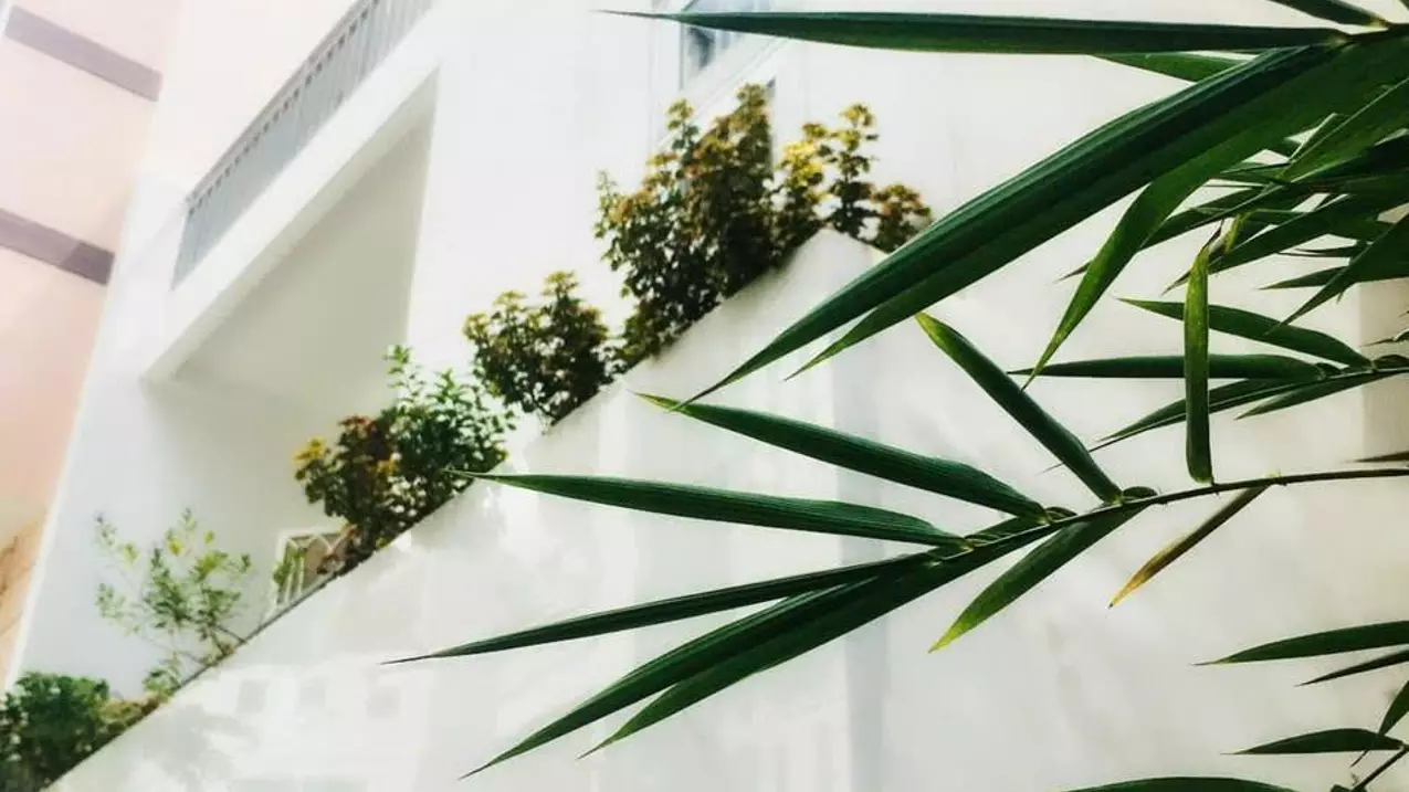 Cần bán nhà riêng hẻm đường Nguyễn Trãi, P7, Q5, diện tích 5.9 x 8.4m, giá 14 tỷ-anh-4