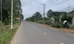 BÁN GẤP 1000M2 ĐẤT , GIÁ RẺ BÈO CHỈ VÀI TRĂM NGÀN /MỘT M2.-anh-10