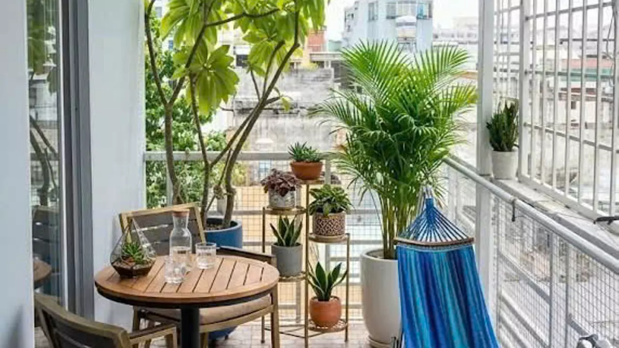 Căn hộ dịch vụ Lê Văn Sỹ - QUẬN 3 - DT 65 m2 (5x13m) - doanh thu 660 tr - giá 9.5 tỷ-anh-4