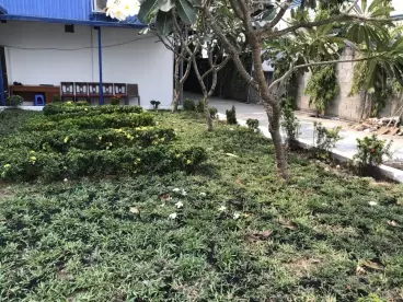 BÁN XƯỞNG 5000m2 KHU CÔNG NGHIÊP TÂN ĐÔ .HUYÊN ĐỨC HÒA-anh-5