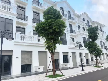 SHOPHOUSE 135M2 DÃY SH06 SẦM UẤT NHẤT DỰ ÁN VINHOMES OCEAN PARK 1 CHỈ 29,5 TỶ BP-anh-1