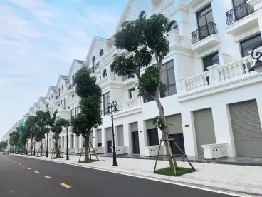 SHOPHOUSE 135M2 DÃY SH06 SẦM UẤT NHẤT DỰ ÁN VINHOMES OCEAN PARK 1 CHỈ 29,5 TỶ BP-anh-4