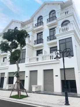 SHOPHOUSE 135M2 DÃY SH06 SẦM UẤT NHẤT DỰ ÁN VINHOMES OCEAN PARK 1 CHỈ 29,5 TỶ BP-anh-5