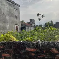 Chính chủ bán 150m2 full thổ cư tại Đan Kim-anh-6