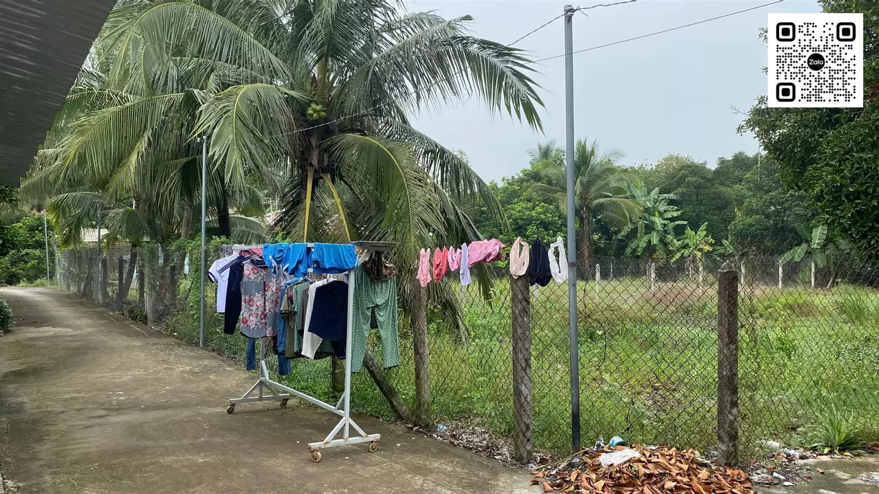 Chính Chủ Bán Đất An Sơn 32 – Vị Trí Đẹp, Gần Vành Đai 3 Chỉ 500m-anh-2