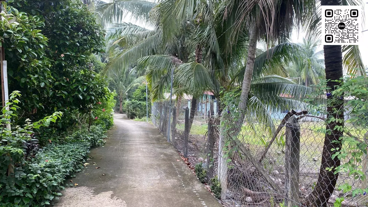 Chính Chủ Bán Đất An Sơn 32 – Vị Trí Đẹp, Gần Vành Đai 3 Chỉ 500m-anh-3