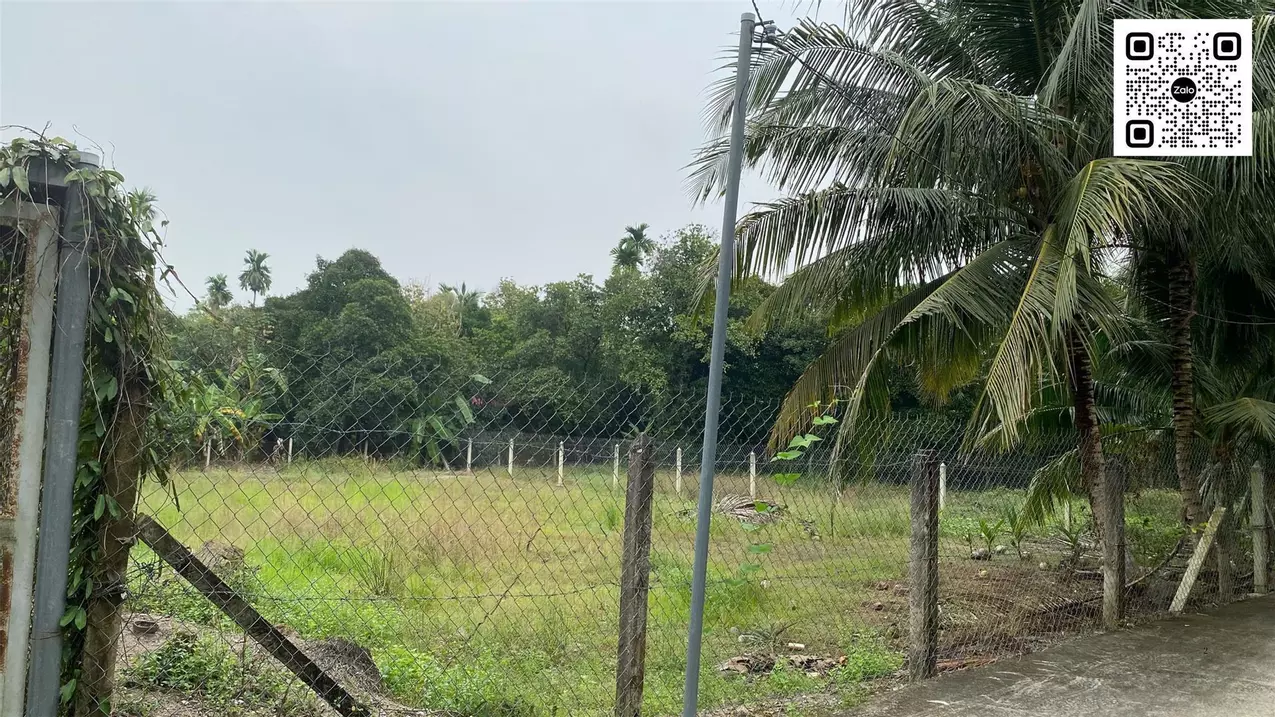 Chính Chủ Bán Đất An Sơn 32 – Vị Trí Đẹp, Gần Vành Đai 3 Chỉ 500m-anh-4