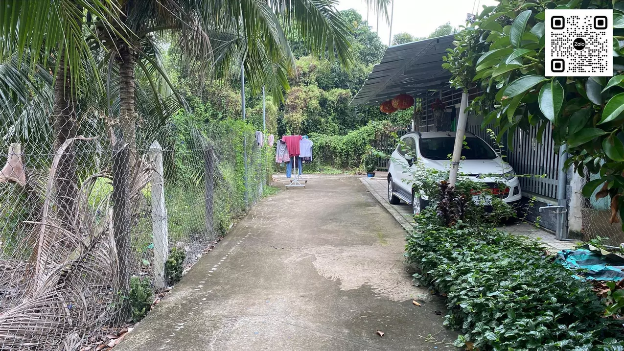 Chính Chủ Bán Đất An Sơn 32 – Vị Trí Đẹp, Gần Vành Đai 3 Chỉ 500m-anh-5