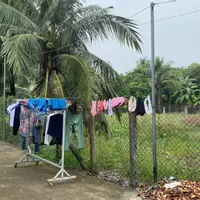Chính Chủ Bán Đất An Sơn 32 – Vị Trí Đẹp, Gần Vành Đai 3 Chỉ 500m-anh-7