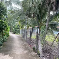 Chính Chủ Bán Đất An Sơn 32 – Vị Trí Đẹp, Gần Vành Đai 3 Chỉ 500m-anh-8