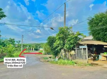 Sở hữu lô đất mặt tiền giá rẻ tại khu vực Bình Phước-anh-3