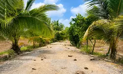 CHÍNH CHỦ BÁN NHÀ ẤP LONG TRẠCH, CẦN ĐƯỚC, LONG AN – GIÁ CHỈ 2,1 TỶ-anh-14