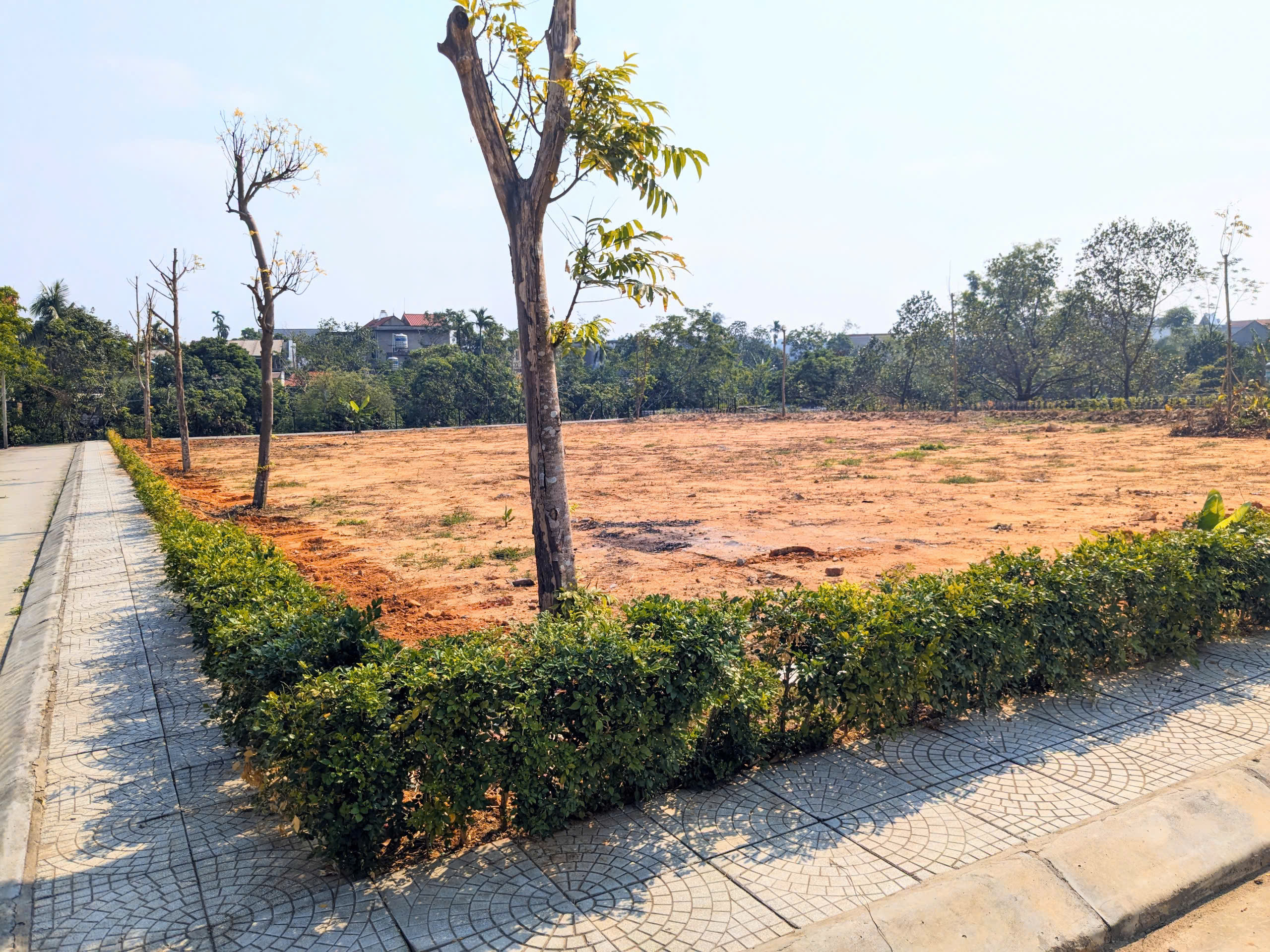 CHÍNH CHỦ CẦN BÁN ĐẤT TẠI PHƯỜNG YÊN THỌ, TP. ĐÔNG TRIỀU, QUẢNG NINH-anh-3