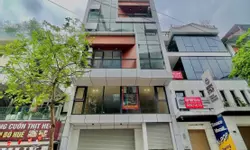 Bán đất ngõ 423 Phú Thượng, Tây Hồ, Hà Nội-anh-2