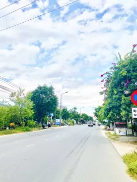 Độc quyền lô biệt thự Đà Nẵng chính chủ ngay sát chợ Túy Loan sầm uất-anh-1