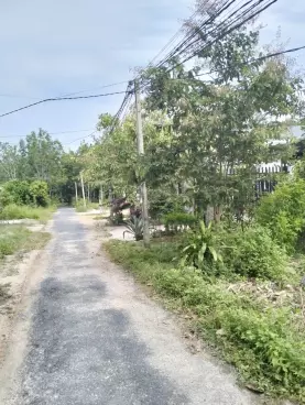 Tôi cần tiền bán gấp miếng đất mặt tiền đường giá 300 triệu-anh-3