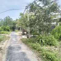Tôi cần tiền bán gấp miếng đất mặt tiền đường giá 300 triệu-anh-7