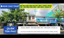 Nhà mặt tiền kinh doanh đường 8m, cạnh Phố Nướng Tân Sơn Nhì, 3.6 tỷ-anh-9