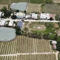 SIÊU PHẨM đất biển FULL THỔ CƯ giá chỉ 760triệu bao sổ-anh-8