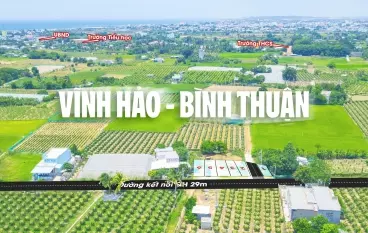 Đất biển Bình Thuận cam kết lợi nhuận 10%/năm giá chỉ 800triệu-anh-1