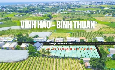 Đất biển Bình Thuận cam kết lợi nhuận 10%/năm giá chỉ 800triệu-anh-2