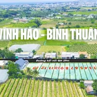 Đất biển Bình Thuận cam kết lợi nhuận 10%/năm giá chỉ 800triệu-anh-5