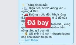 Bán nhà 4 tầng 70m2 ngang 5 hướng ĐN đường 30m TĐC Xi Măng, Sở Dầu, Hồng Bàng, Hải Phòng-anh-5