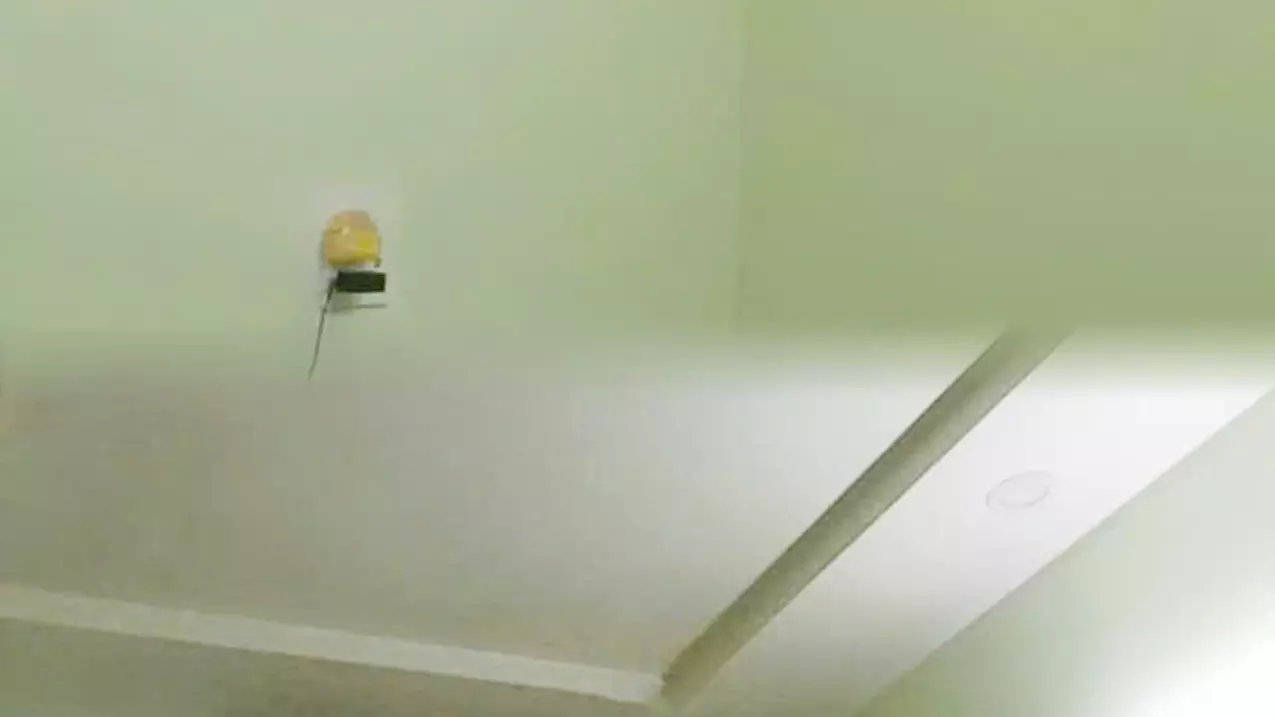 CHÍNH CHỦ CHO THUÊ PHÒNG TRỌ ĐẸP – THOÁNG MÁT – GIỜ GIẤC TỰ DO-anh-1