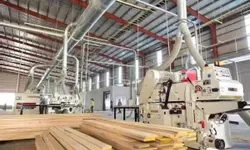 NHÀ MỚI ĐẸP- HẺM XE HƠI- NGAY TÂN THỚI NHÂT QUẬN 12 - NGANG 4.M - 54M2.CHỈ 5,2TỶ-anh-2