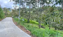 Cho thuê căn hộ 1 phòng ngủ đường Lý Thường Kiệt p9 giá 6tr-anh-20