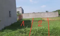 Bán 194m2 đất MT xã Long Sơn, huyện Cần Đước, SHR, 2 tỷ. LH:0915370399.-anh-10